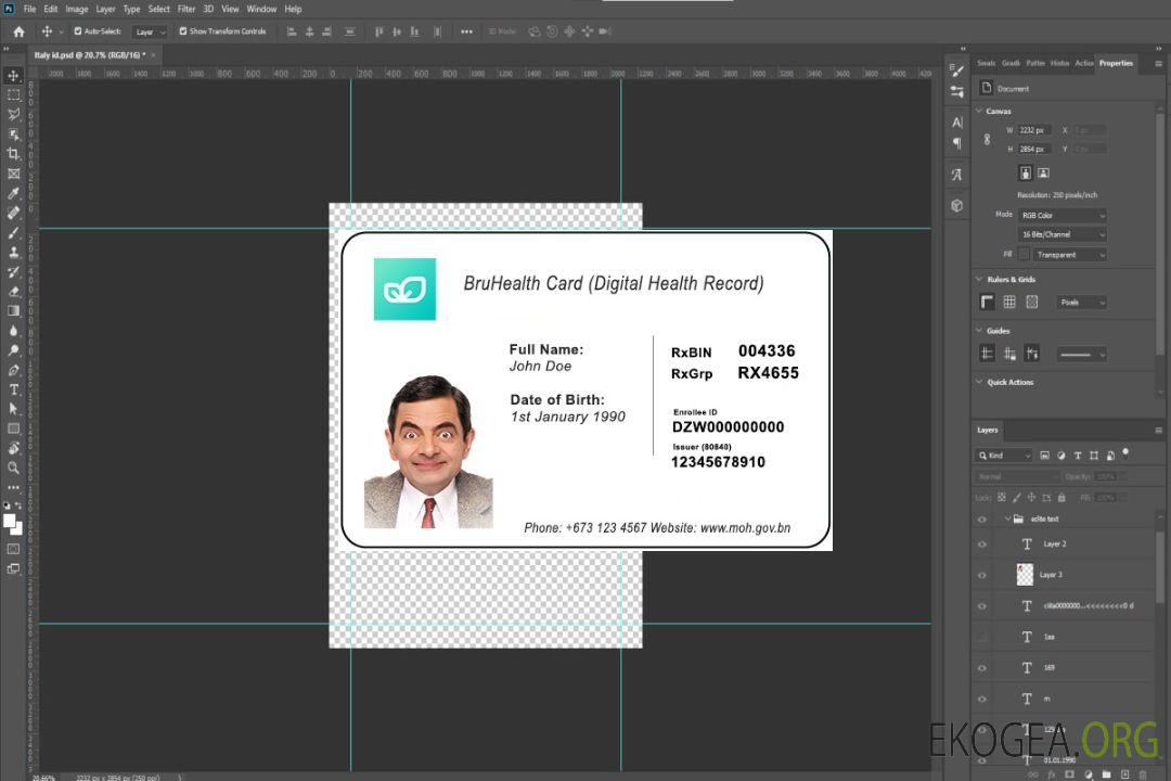 Carte d'assurance maladie du Brunei template